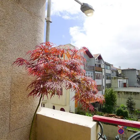 Lv Premier Firmeza- Sc Apartment Porto